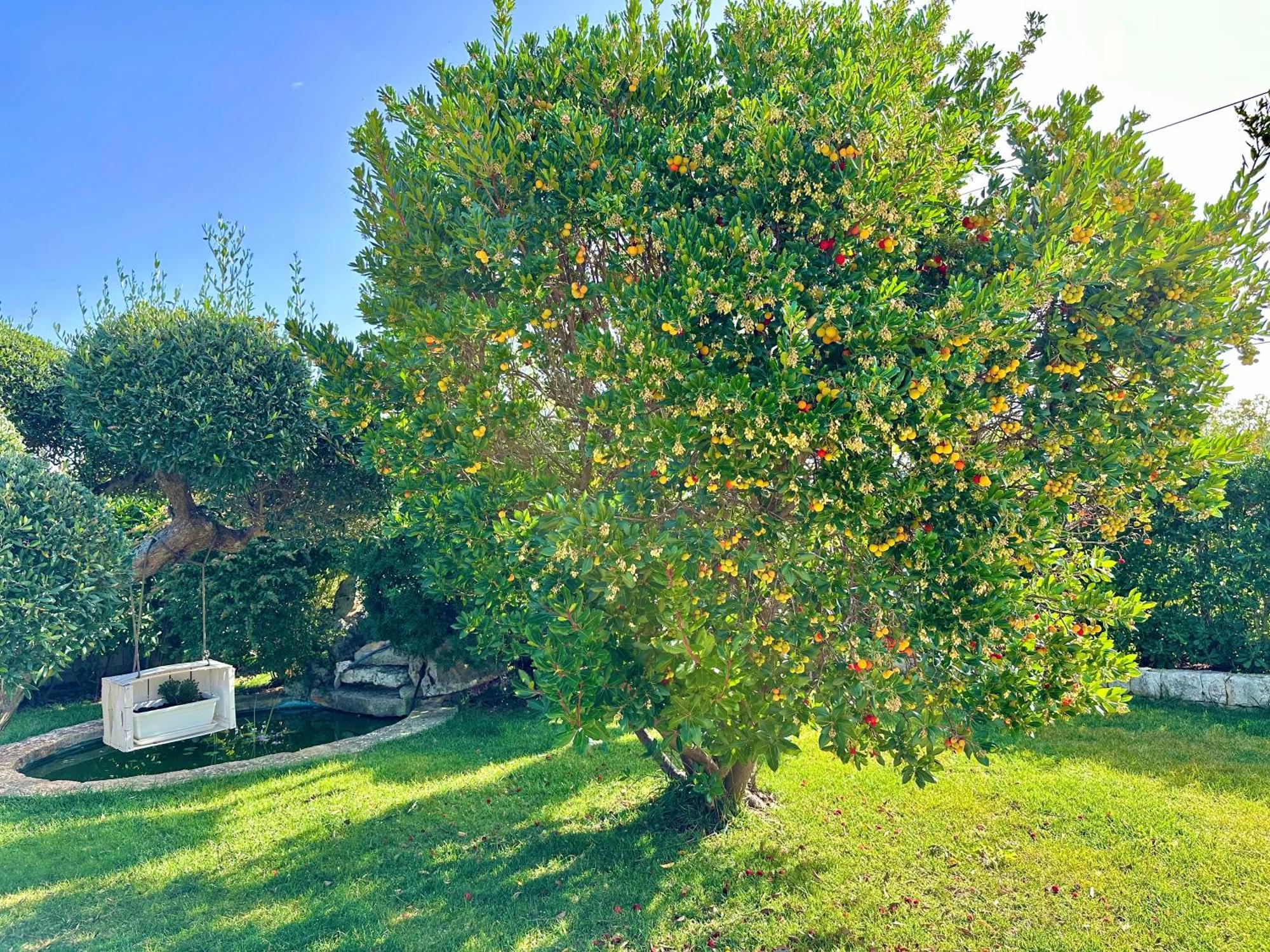 Trulli Fenice Alberobello Phòng bức ảnh